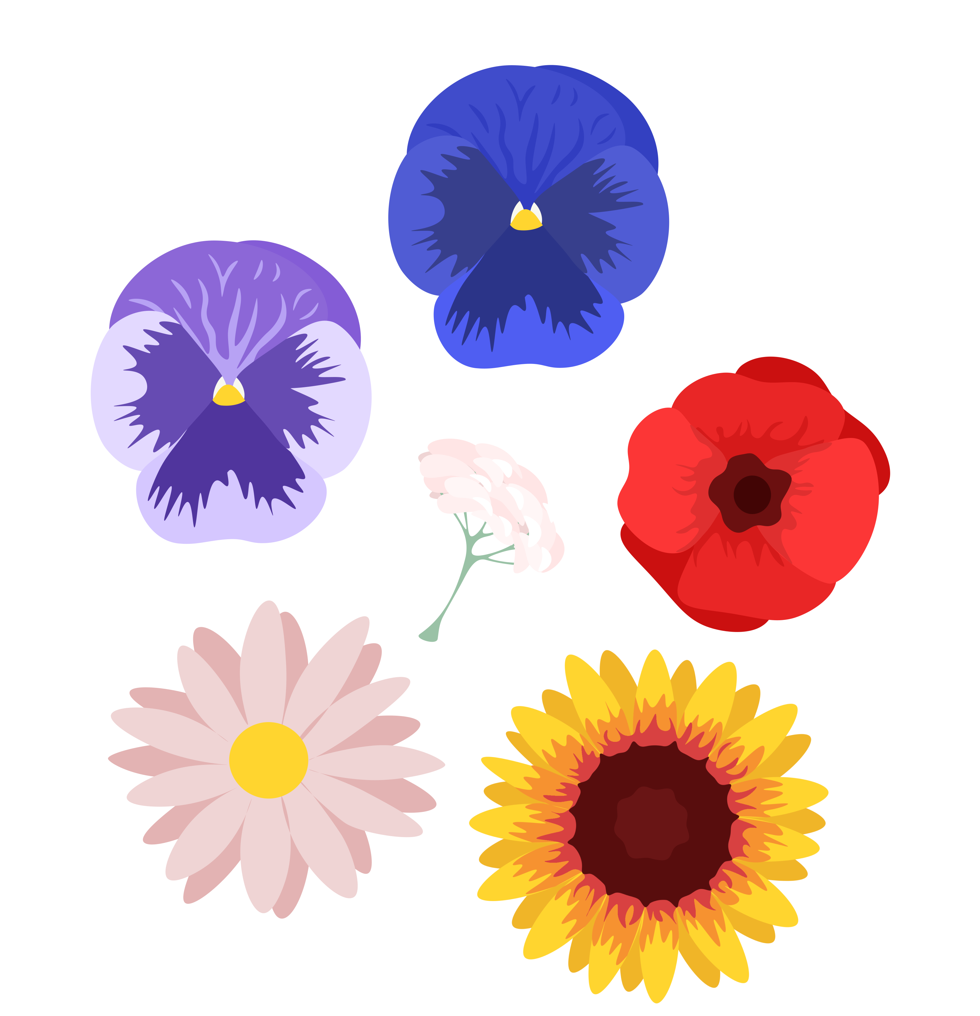 drawing of a a collection of flowers